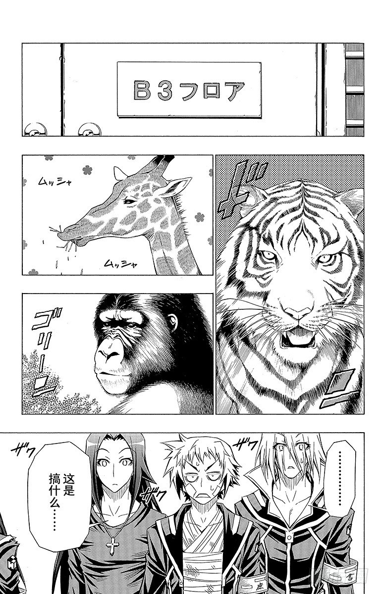 第37箱 抱歉，我要扯上关系了8