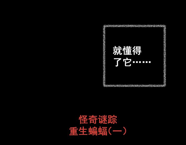 第74话 重生蝙蝠（一）90