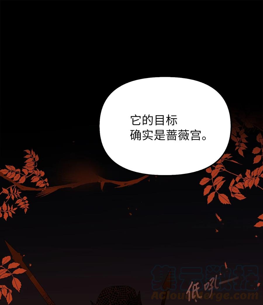 18 花样人生12
