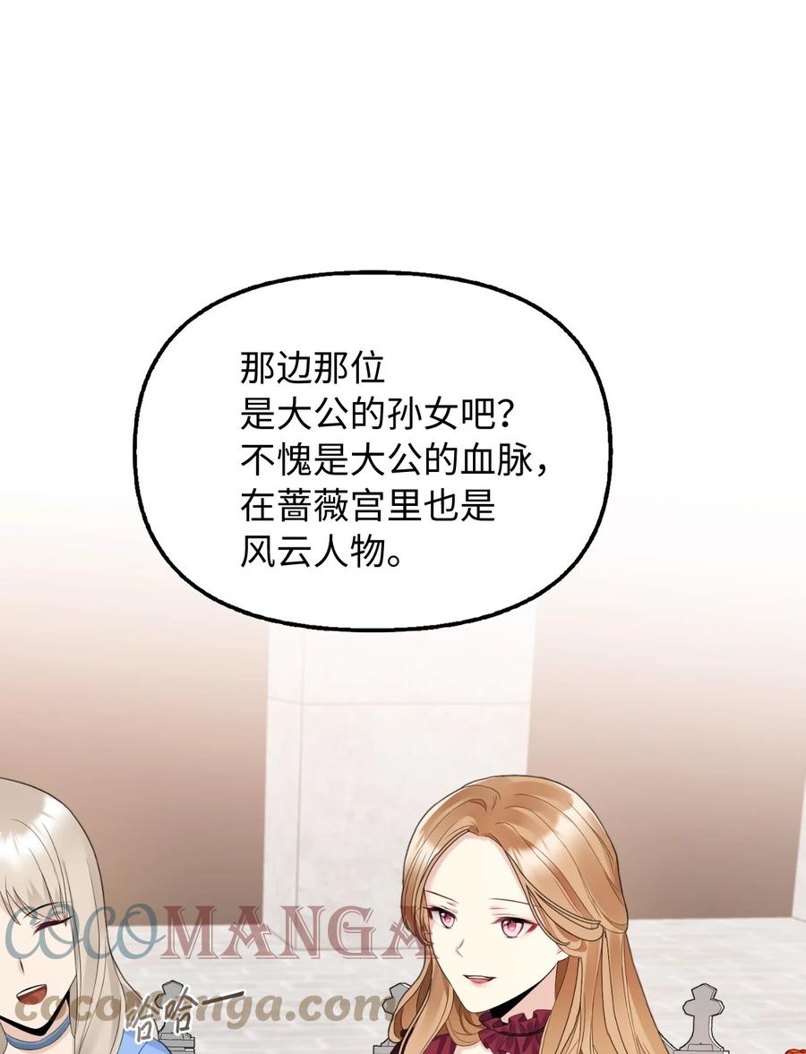 20 庭院茶会36