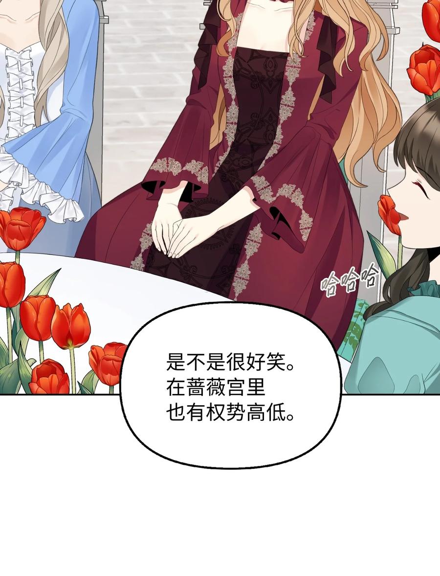 20 庭院茶会37