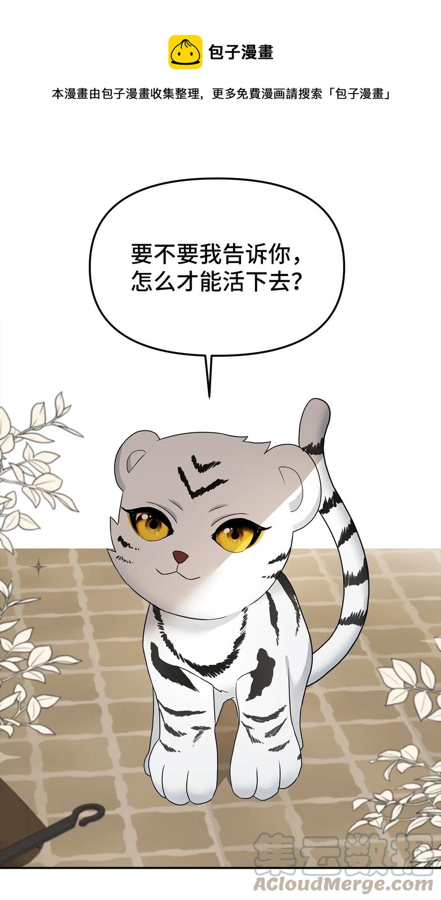 29 想要开店24