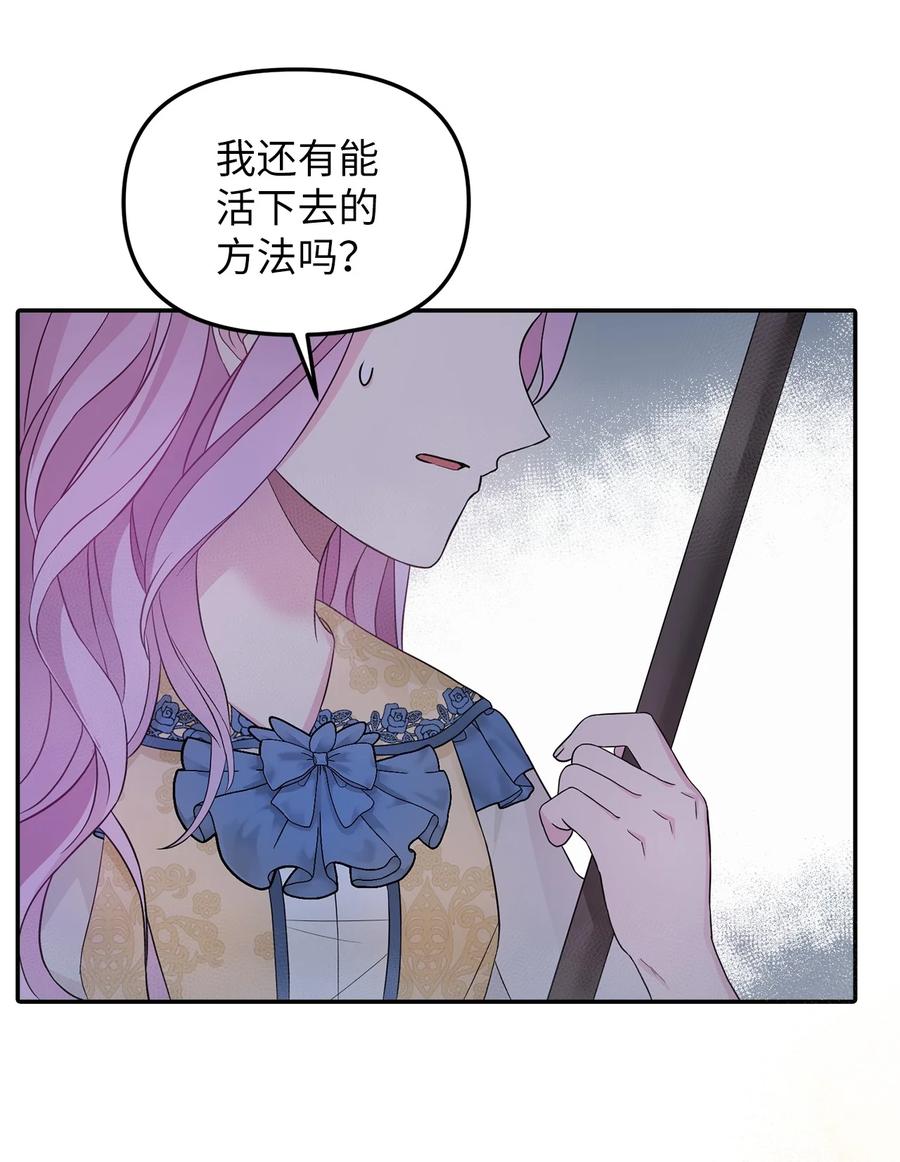 29 想要开店25