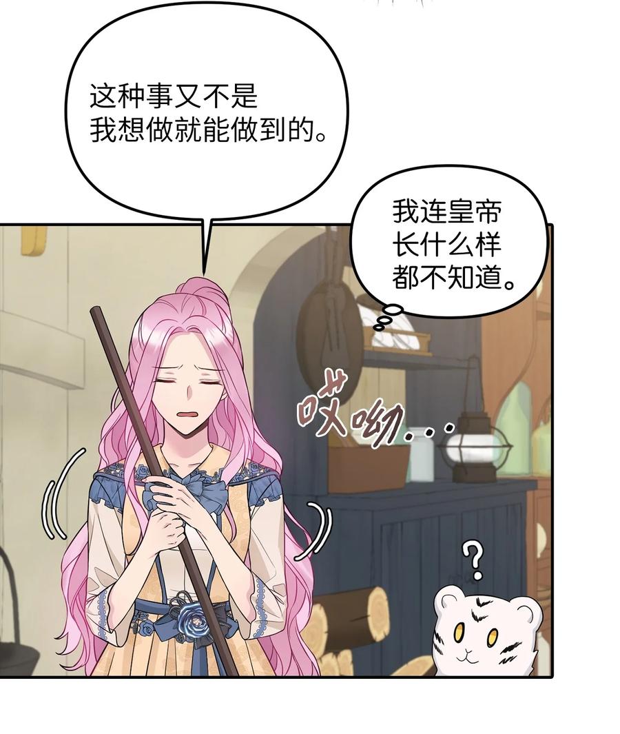29 想要开店31