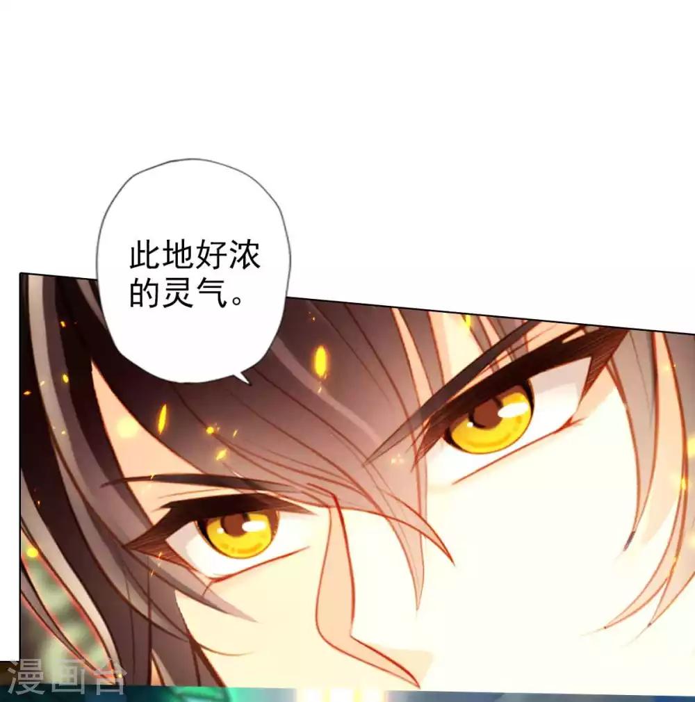 第51话 壮神丹8