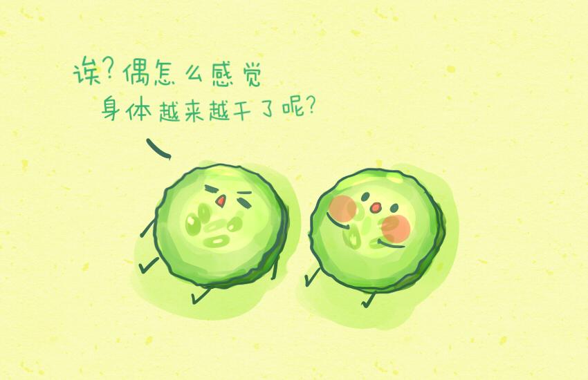 030 葡萄 黄瓜片 土豆片16