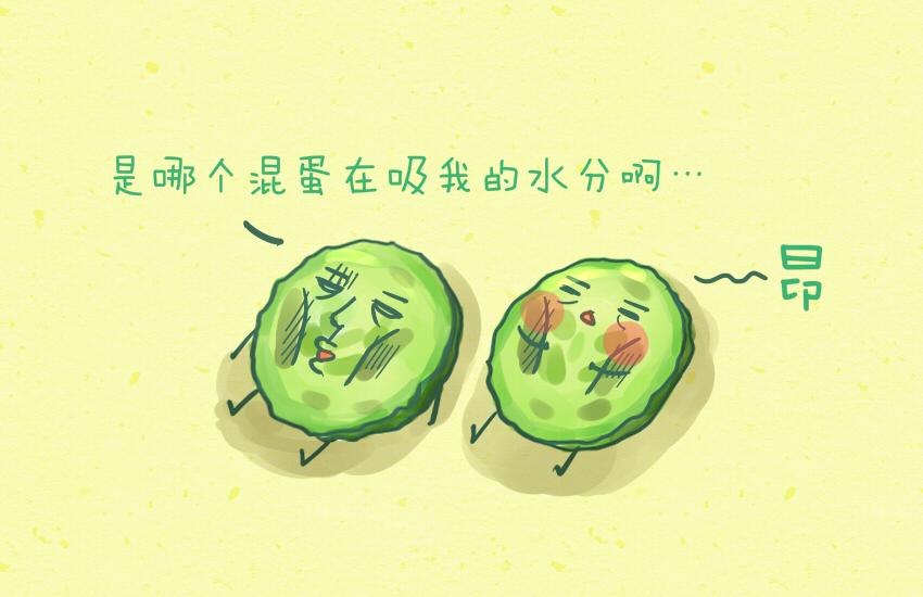 030 葡萄 黄瓜片 土豆片17