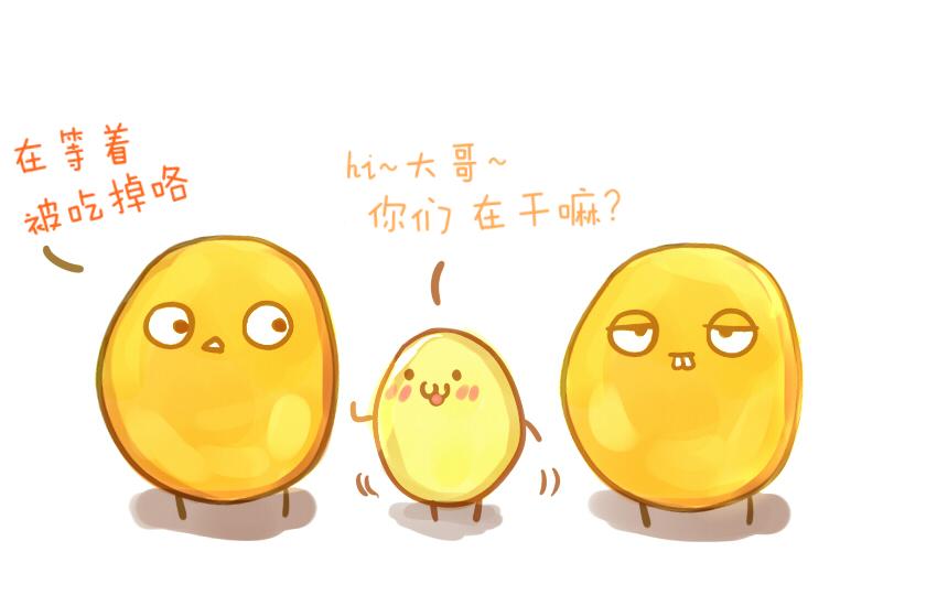 030 葡萄 黄瓜片 土豆片24