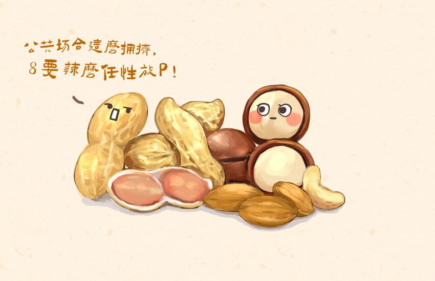 043 狮子头 坚果 雪饼15