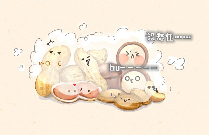 043 狮子头 坚果 雪饼17