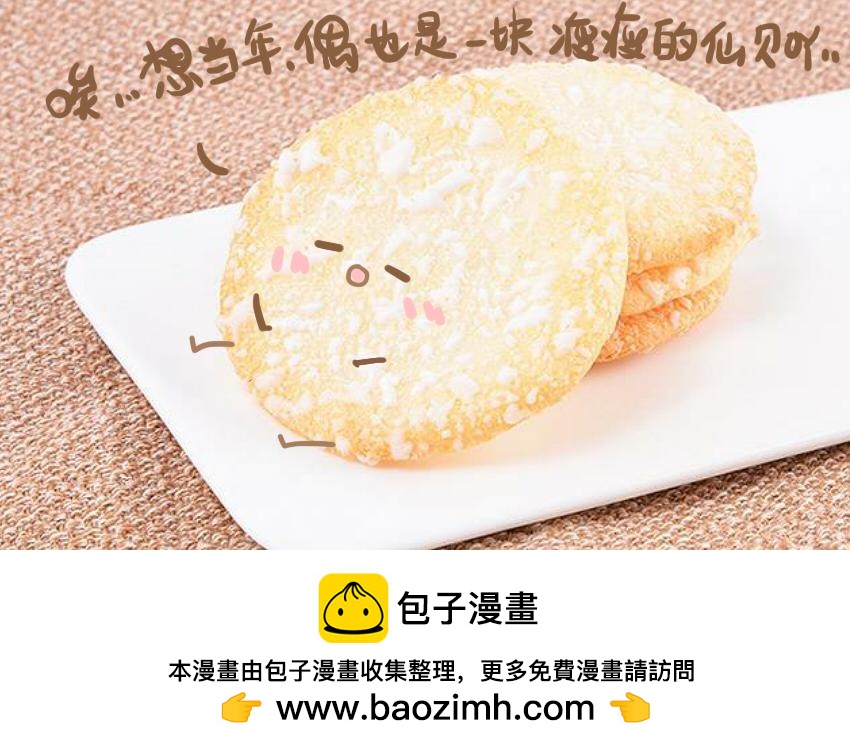 043 狮子头 坚果 雪饼28