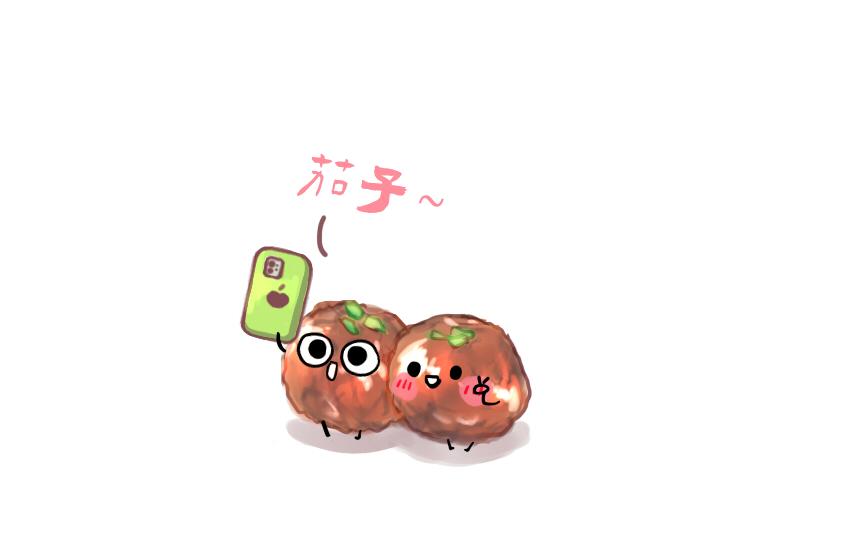 043 狮子头 坚果 雪饼4