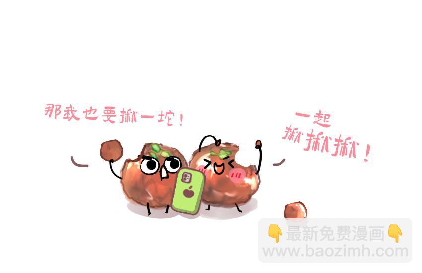 043 狮子头 坚果 雪饼8