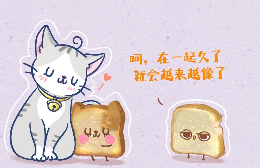 047 面包切片 糖6