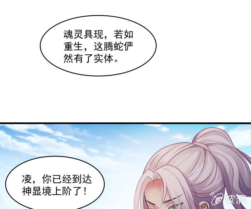 第25话 申屠策的过去27