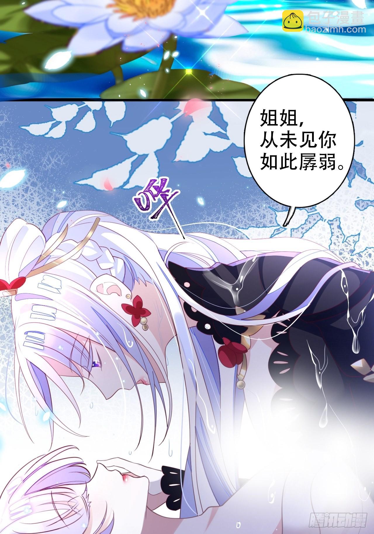 鸾凤宗的百合花都开好了12