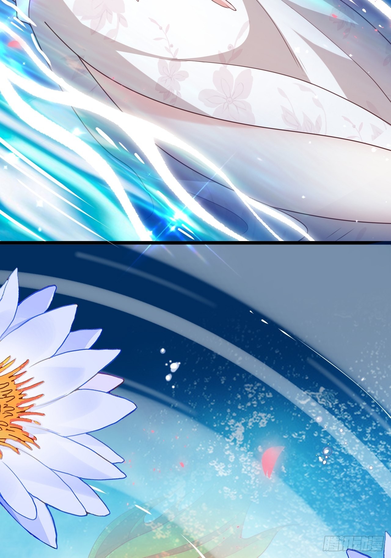 鸾凤宗的百合花都开好了14