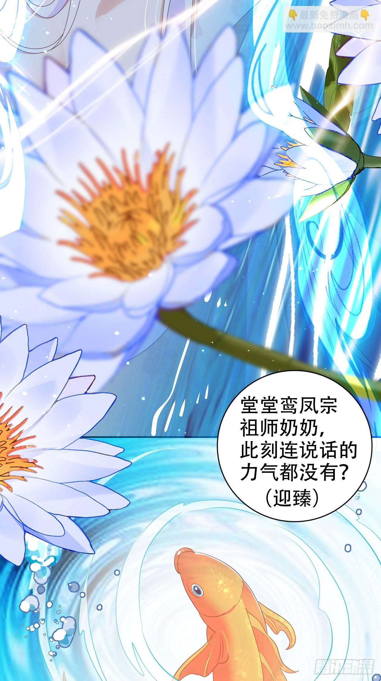 鸾凤宗的百合花都开好了17