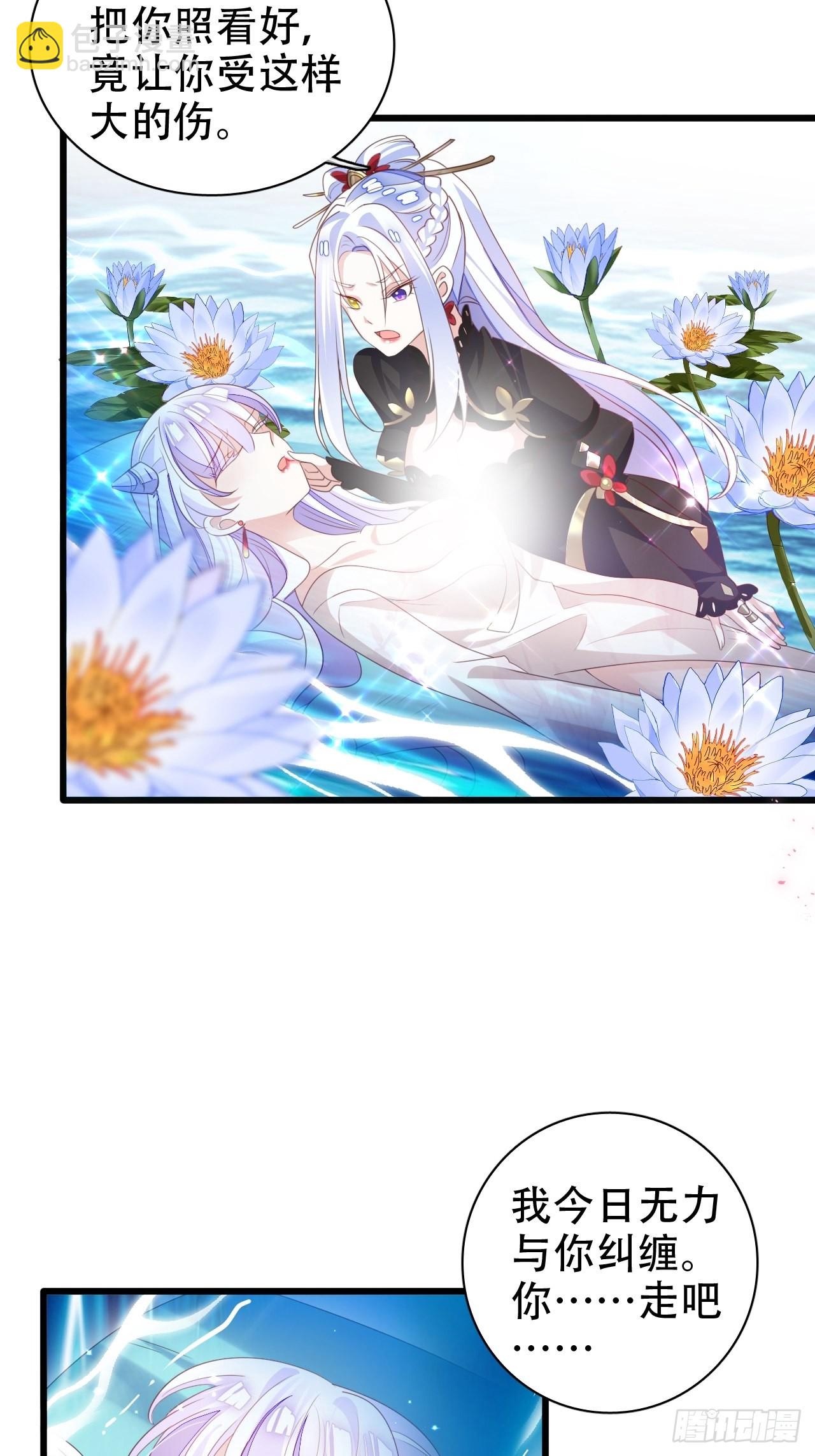 鸾凤宗的百合花都开好了19