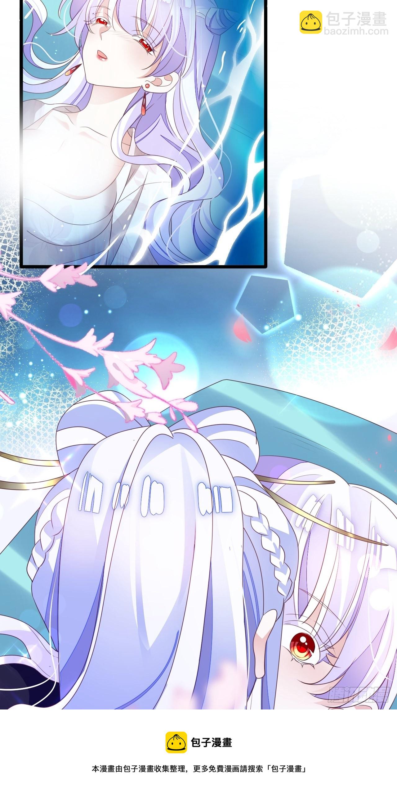 鸾凤宗的百合花都开好了20