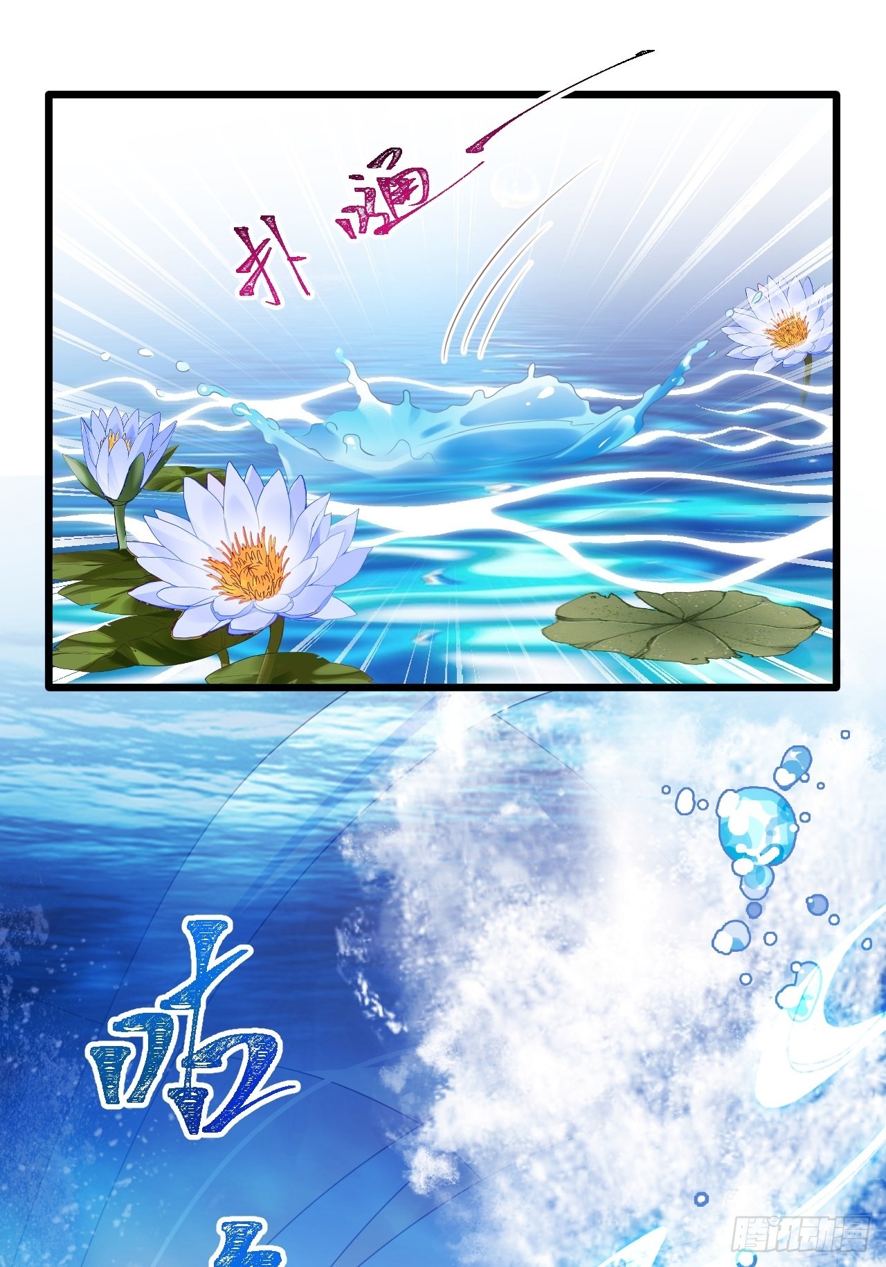 鸾凤宗的百合花都开好了22