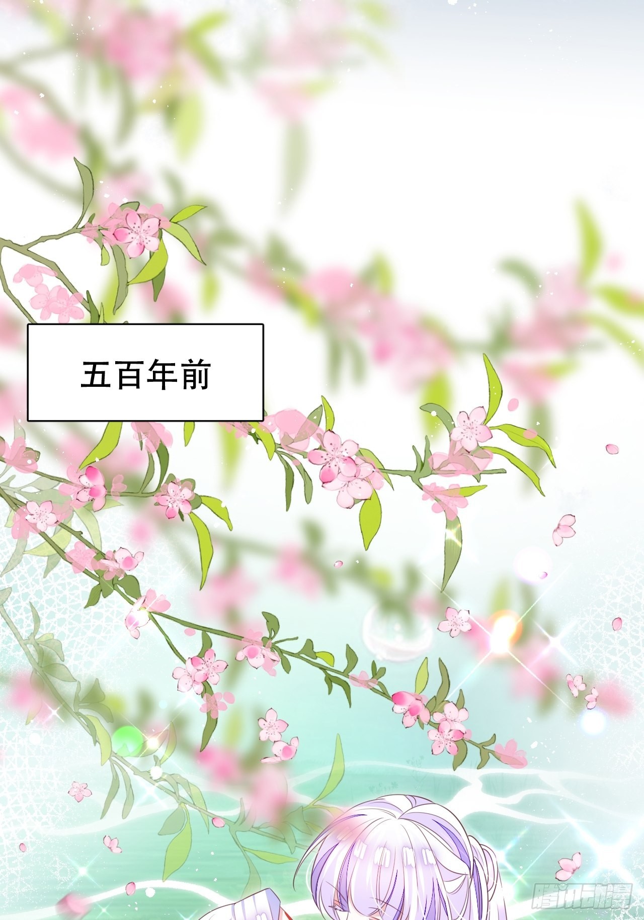 鸾凤宗的百合花都开好了28
