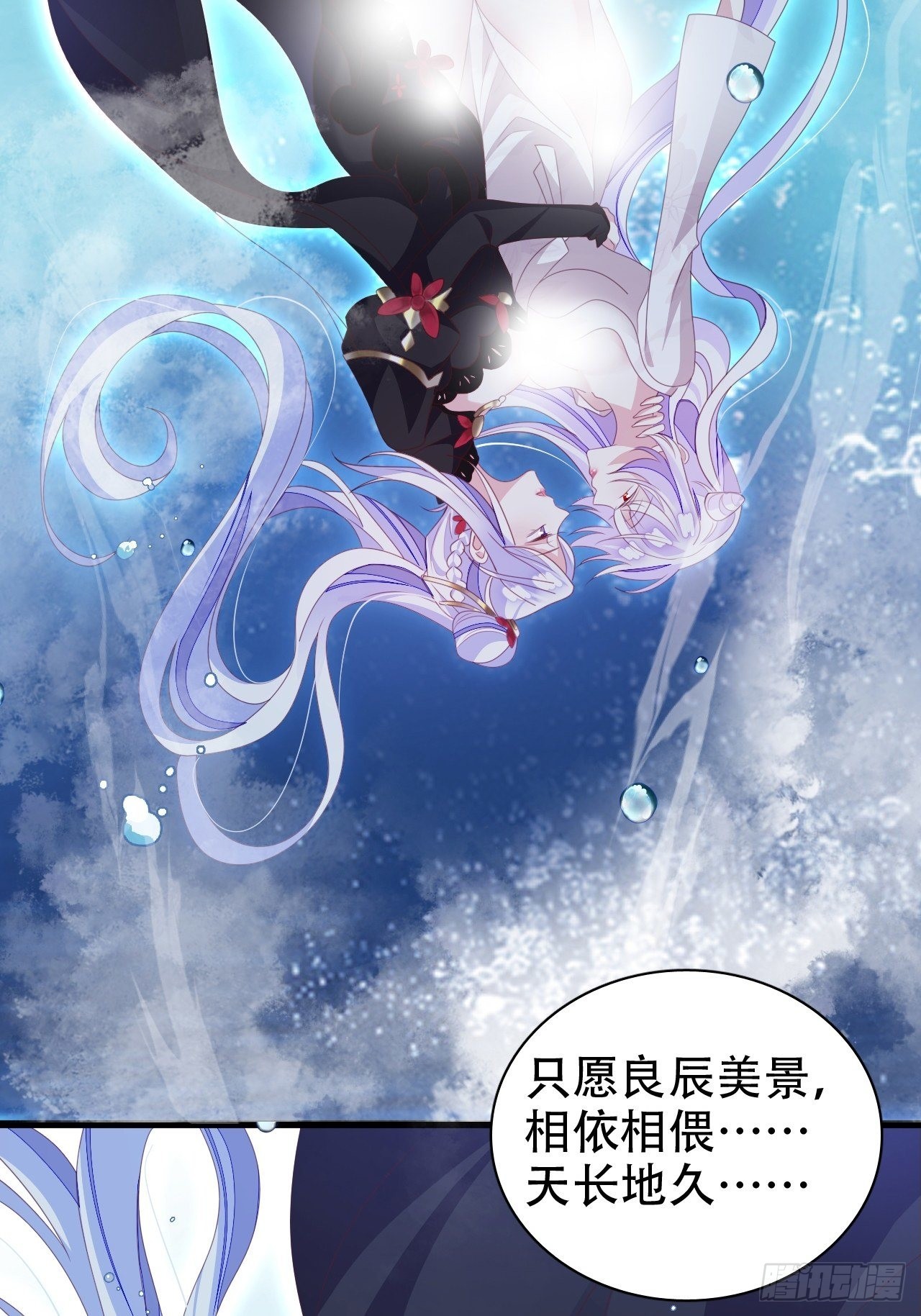 鸾凤宗的百合花都开好了36