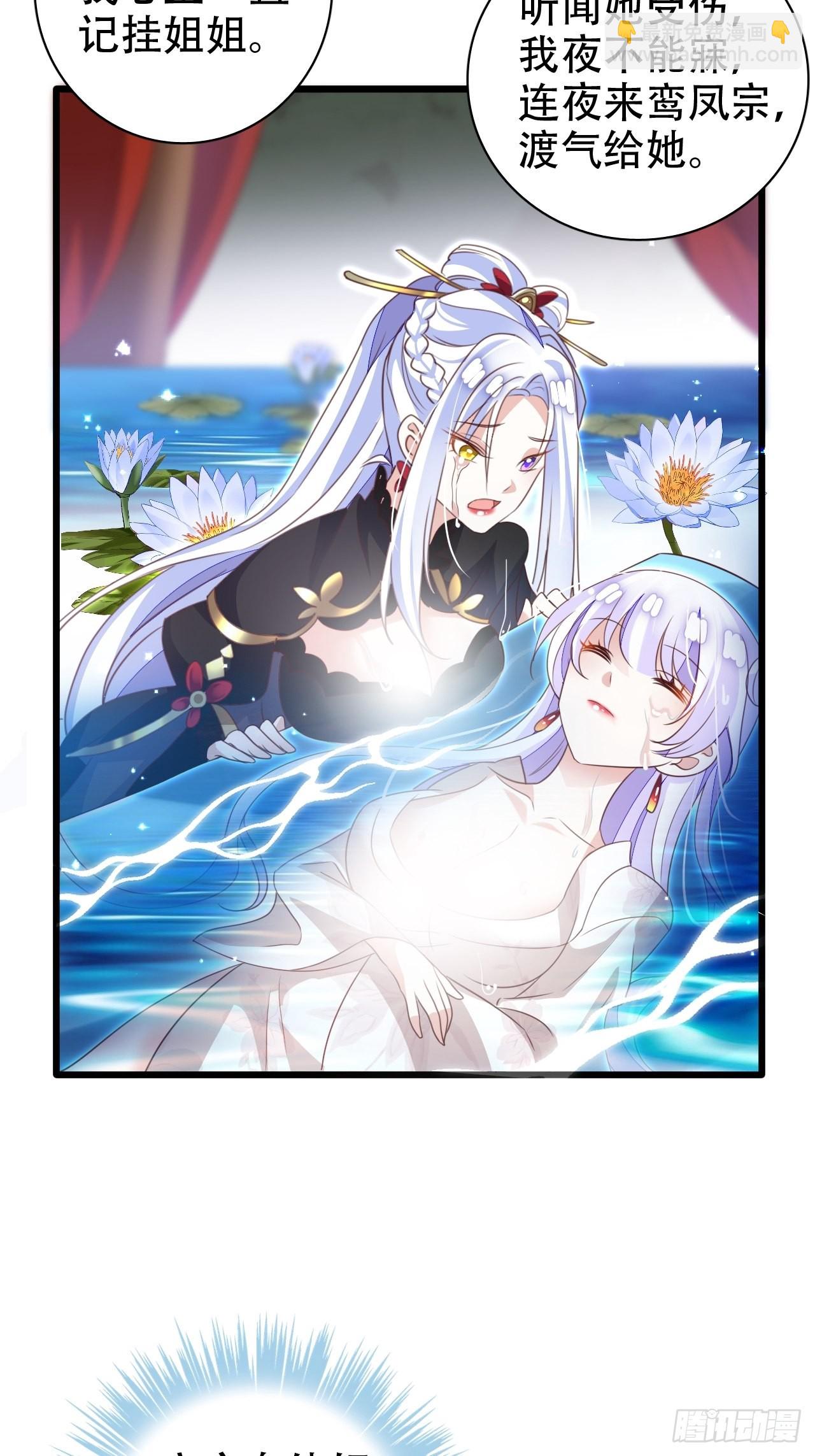 鸾凤宗的百合花都开好了47