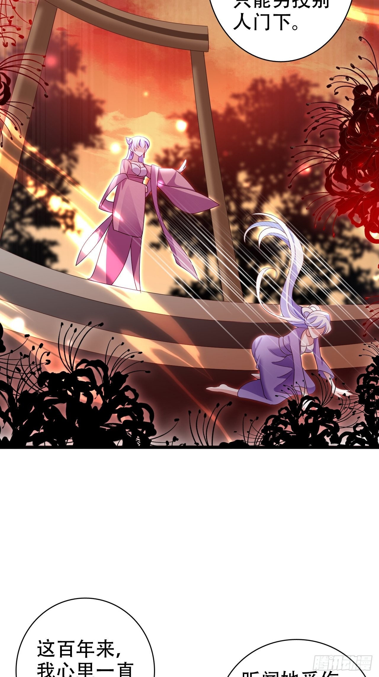鸾凤宗的百合花都开好了50