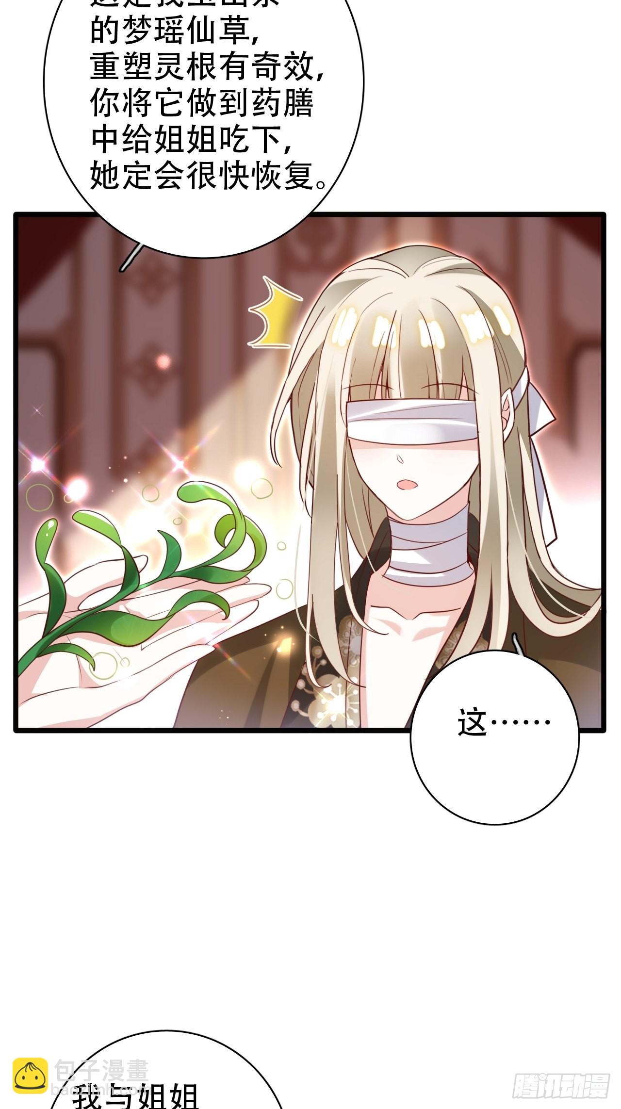 鸾凤宗的百合花都开好了53