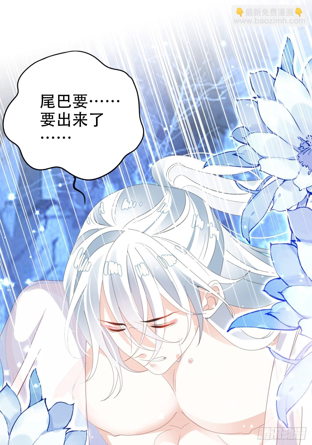 真的只能三修了！62