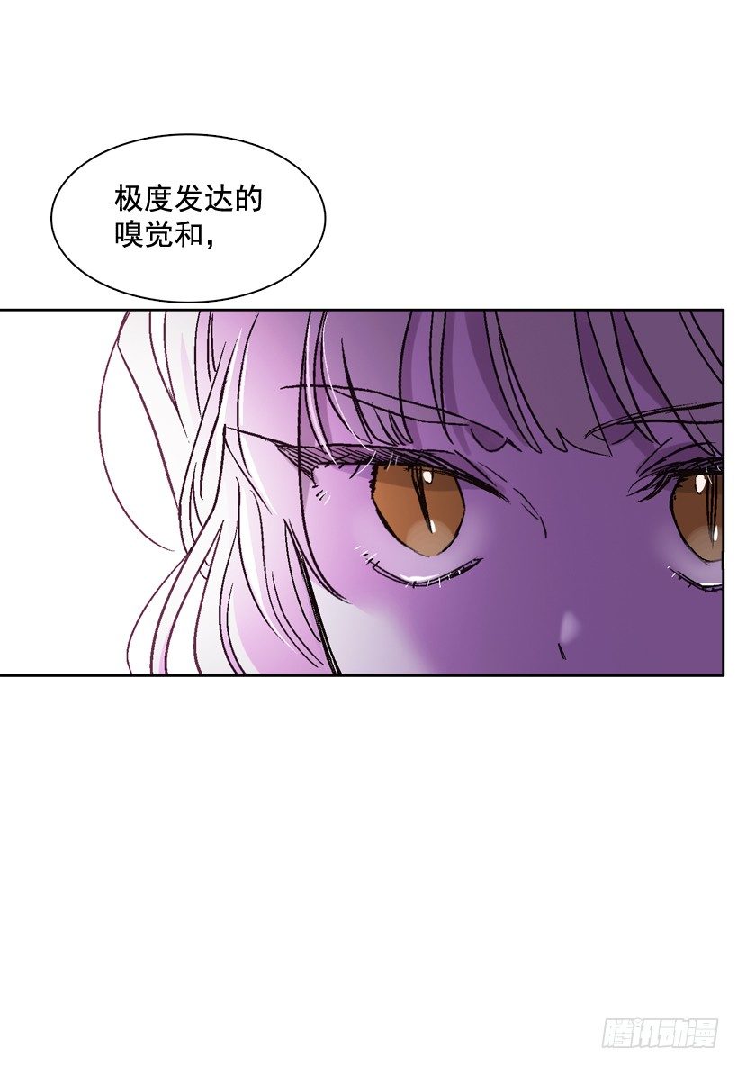 1.救主96