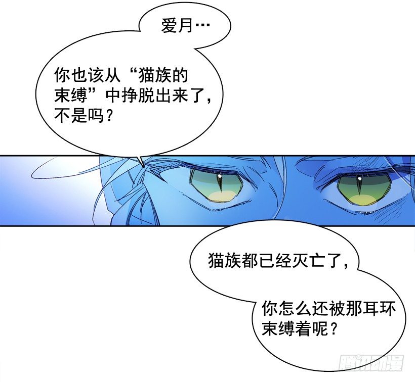 5.愤怒43