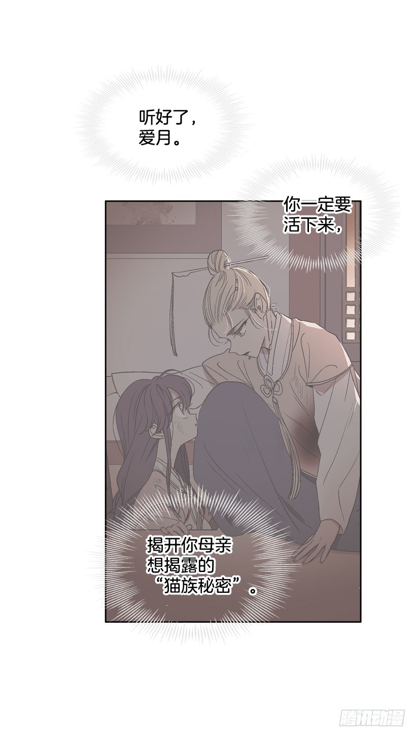 5.愤怒47