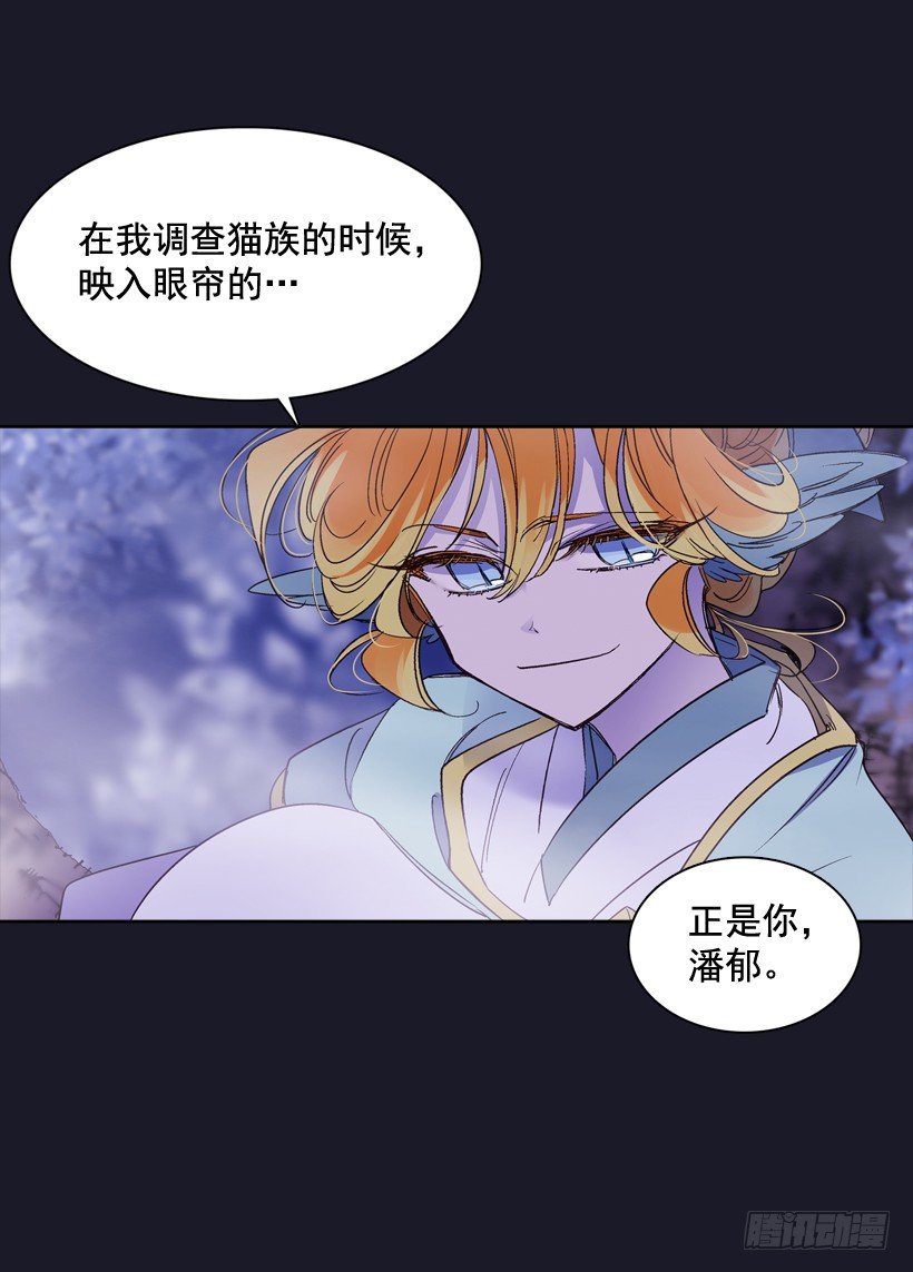 14.神力65