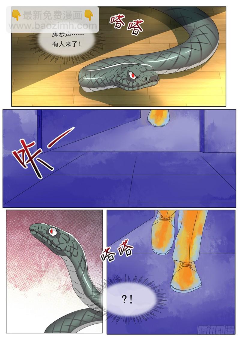 053话 一条蛇的视角6