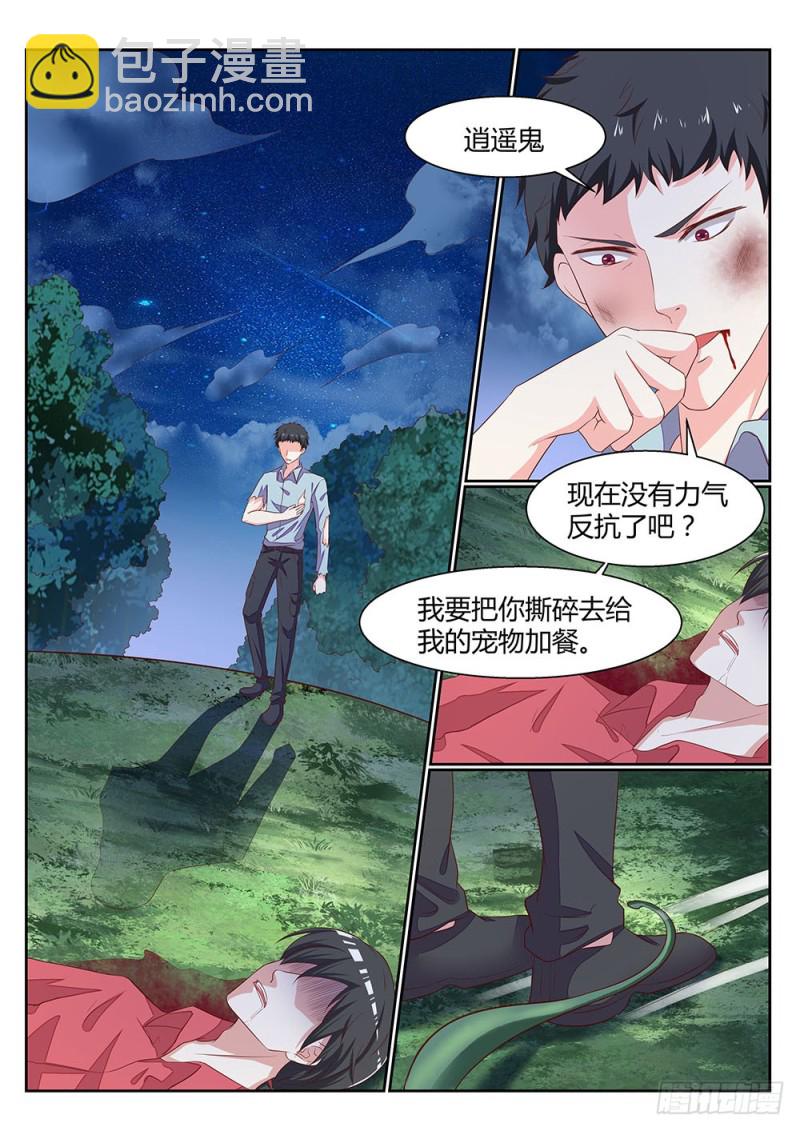 059话 植物大军VS动物大军3