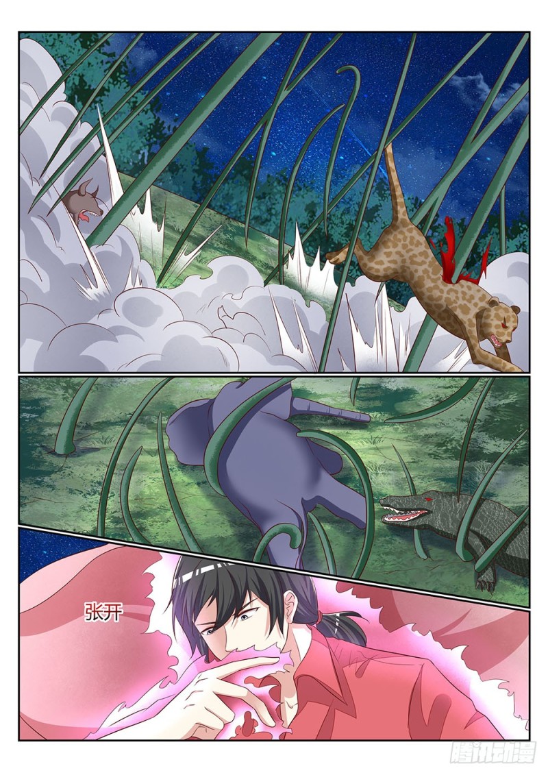 059话 植物大军VS动物大军8
