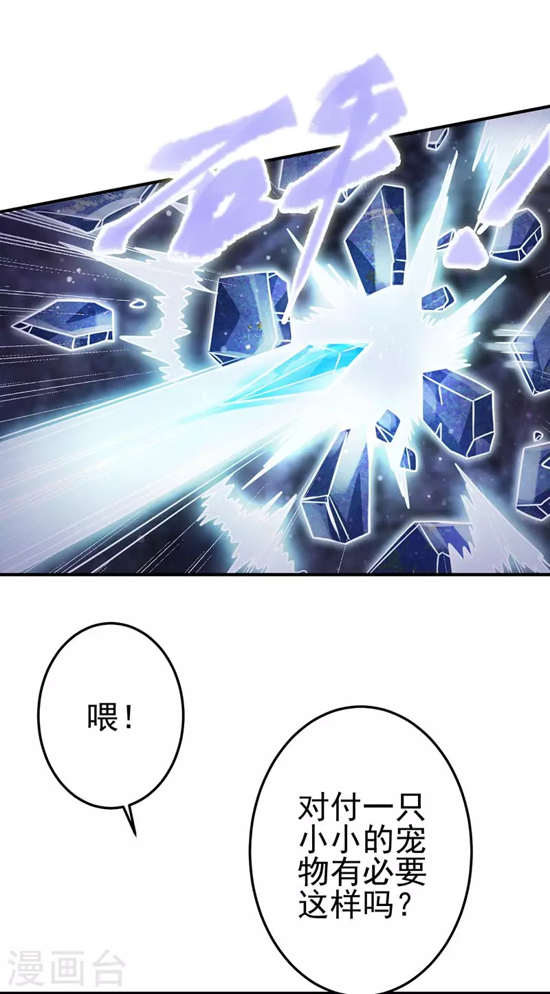 第5话 出现了！黎灰的灵兽18