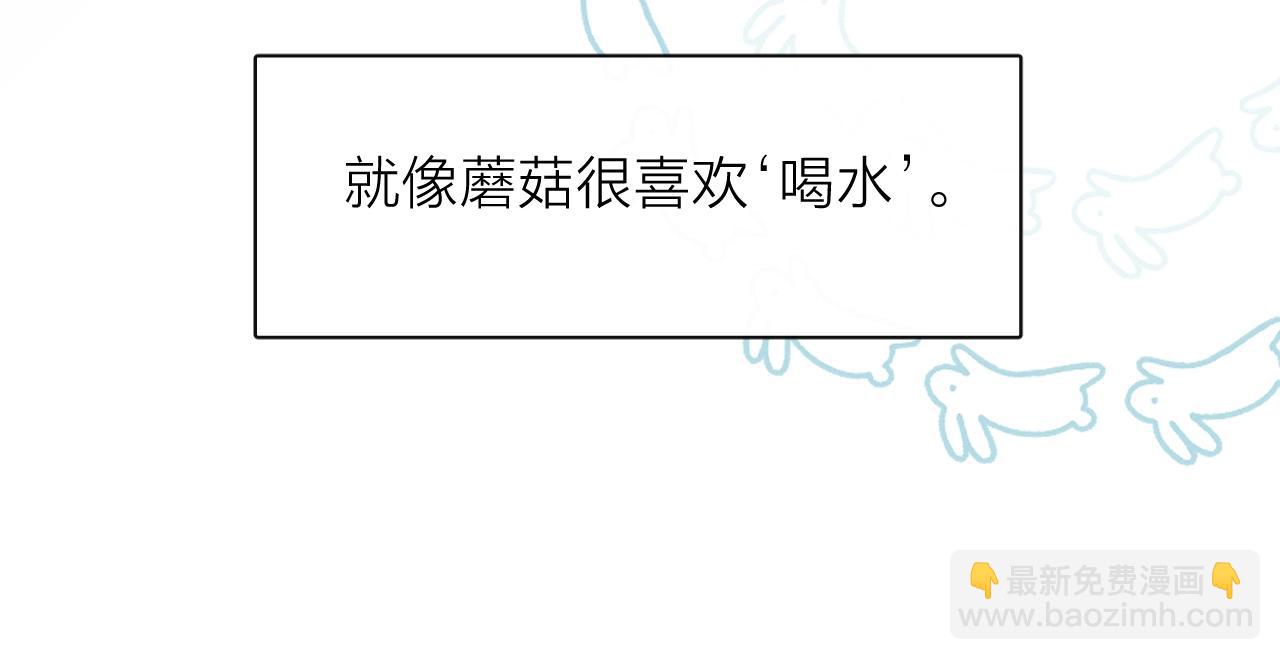 小番外 好大🍄17