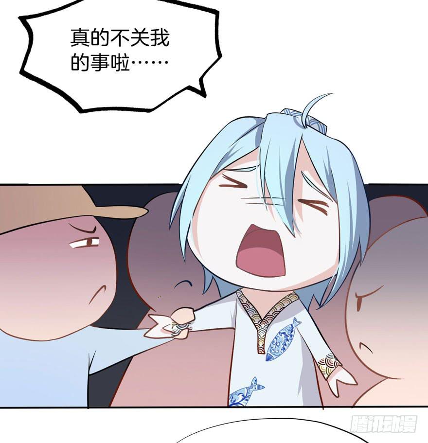 003电梯公寓里的龙宫仙境（一）33