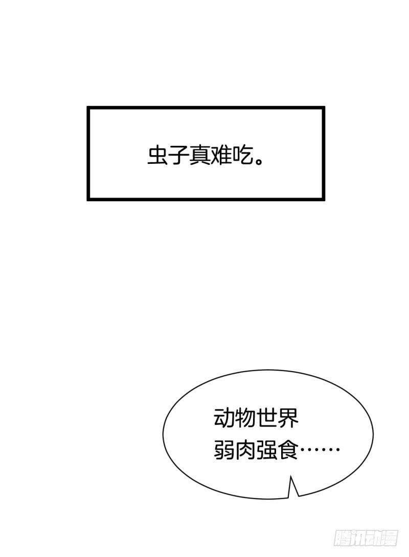033黑眼圈不是坏妖怪（一）24