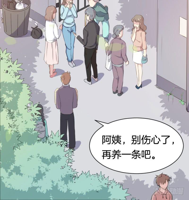 033黑眼圈不是坏妖怪（一）35