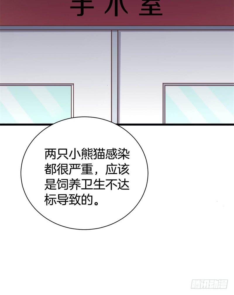 041黑眼圈不是坏妖怪（九）34