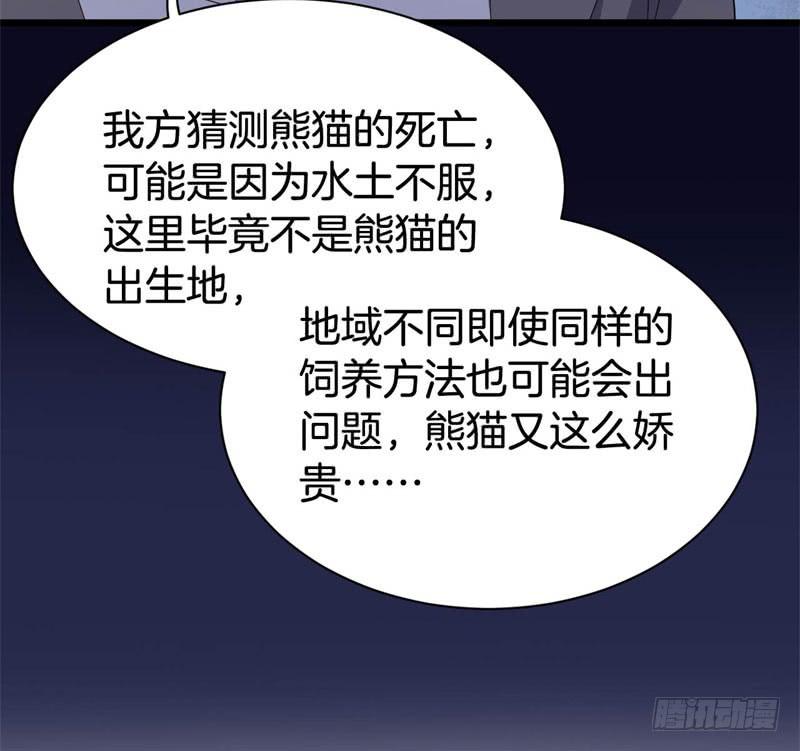 041黑眼圈不是坏妖怪（九）40