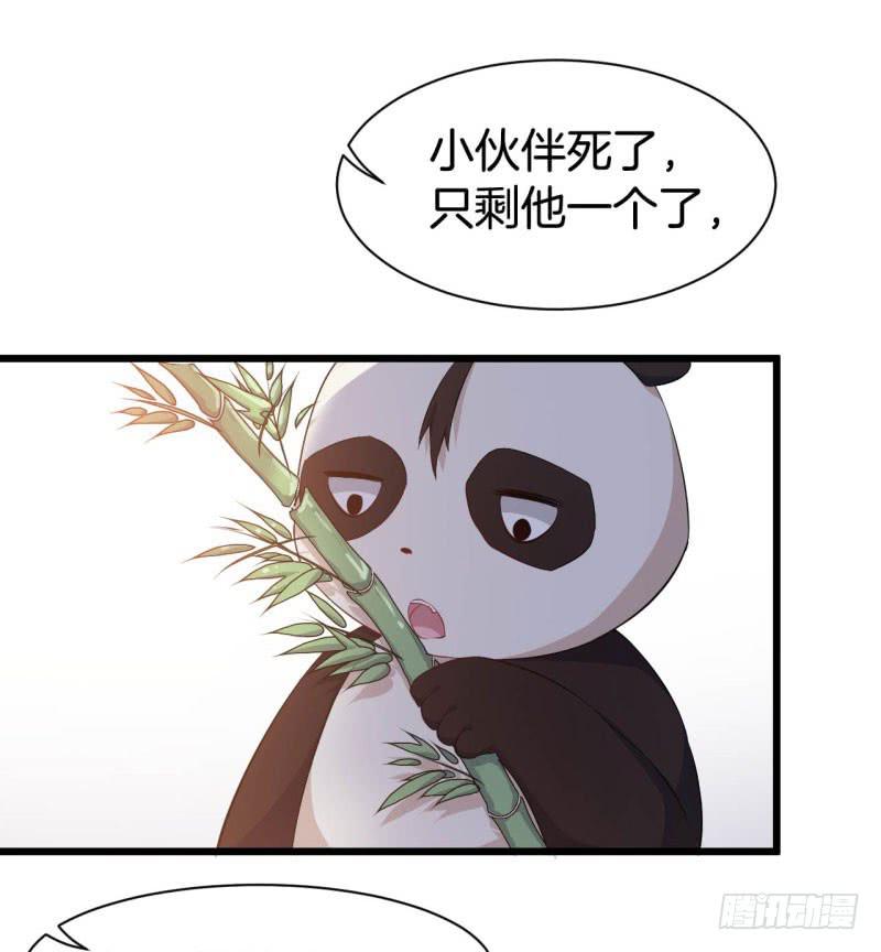 041黑眼圈不是坏妖怪（九）54