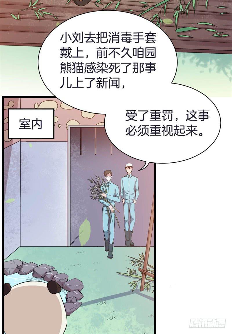 041黑眼圈不是坏妖怪（九）9