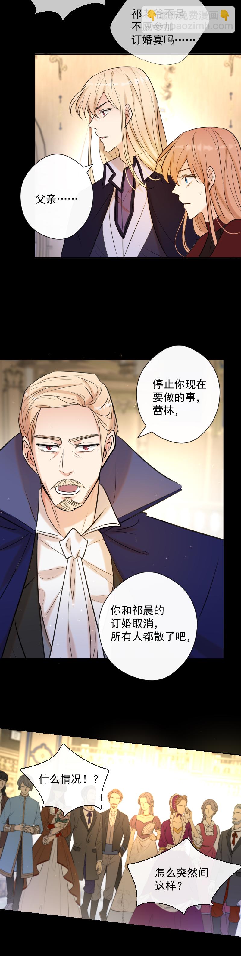 第79话 订婚宴21