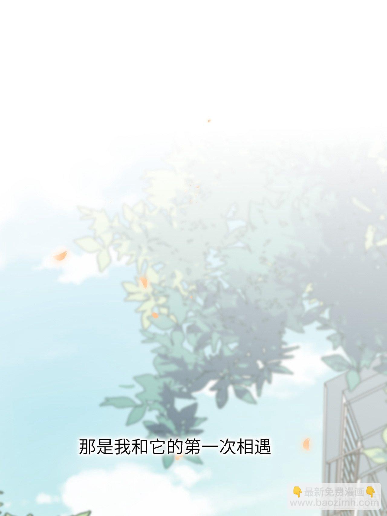 第11话：小熊玩具（一）62