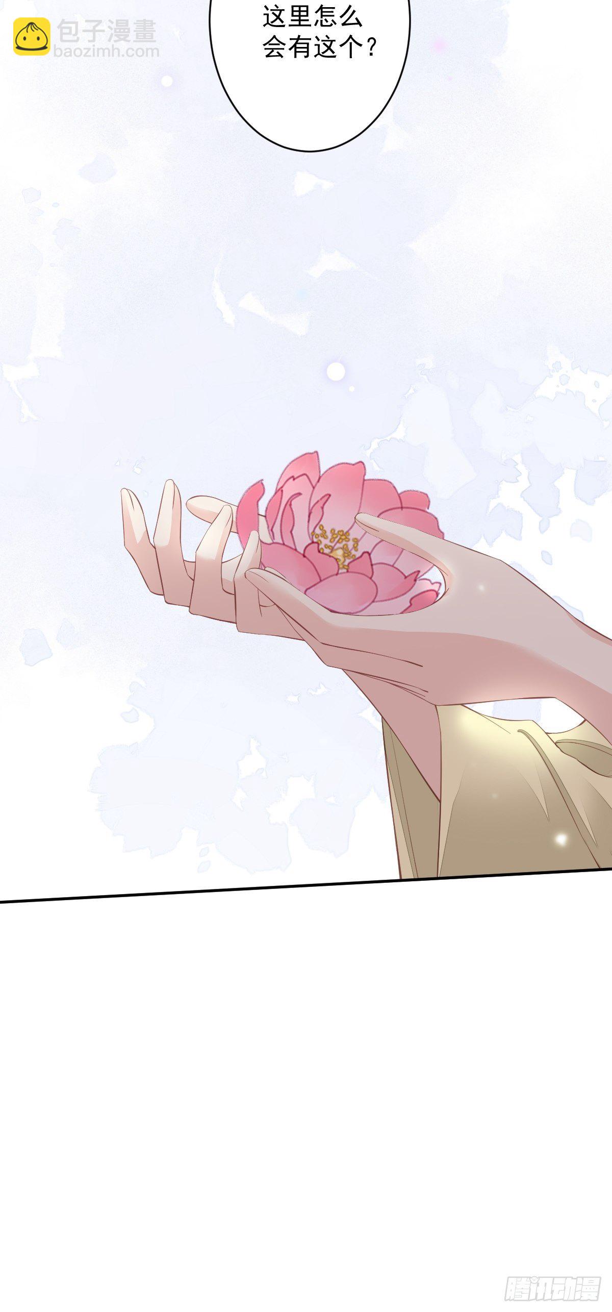 第51话 我来给郡主送几道菜12